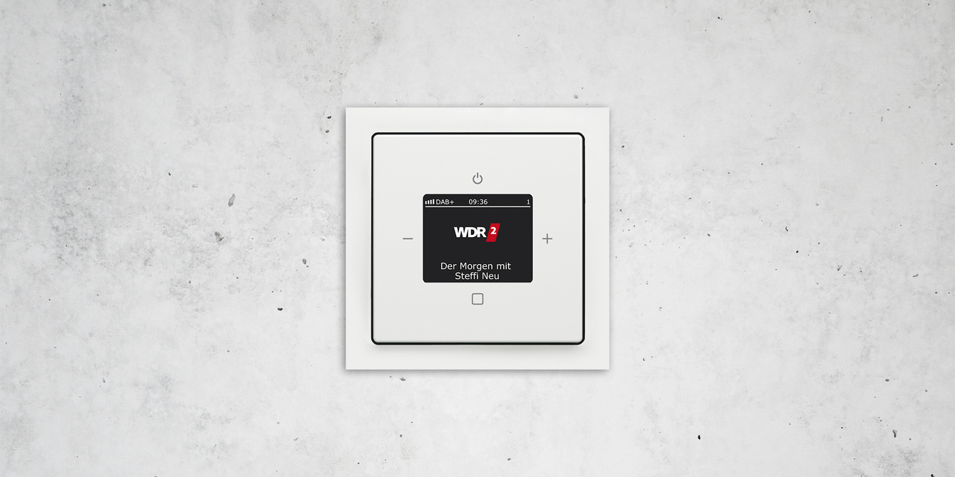 Busch-Radio DAB+ bei Thomas Lieber Elektroinstallation GmbH in Wallrabenstein